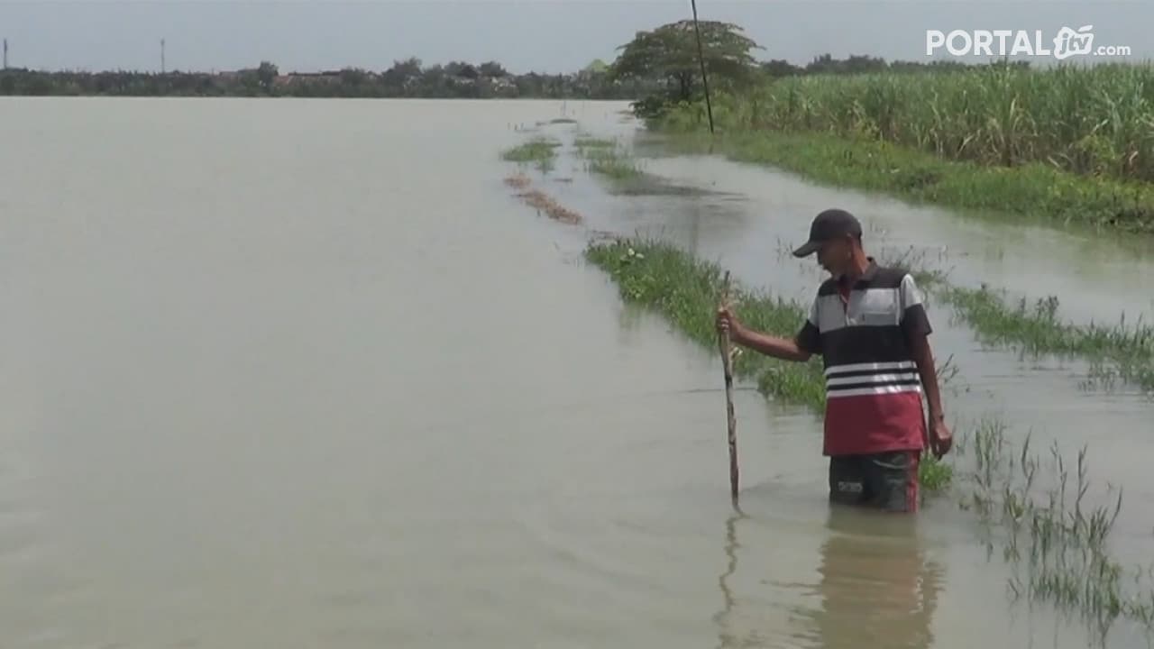 Banjir Rendam 45 Hektar Lahan