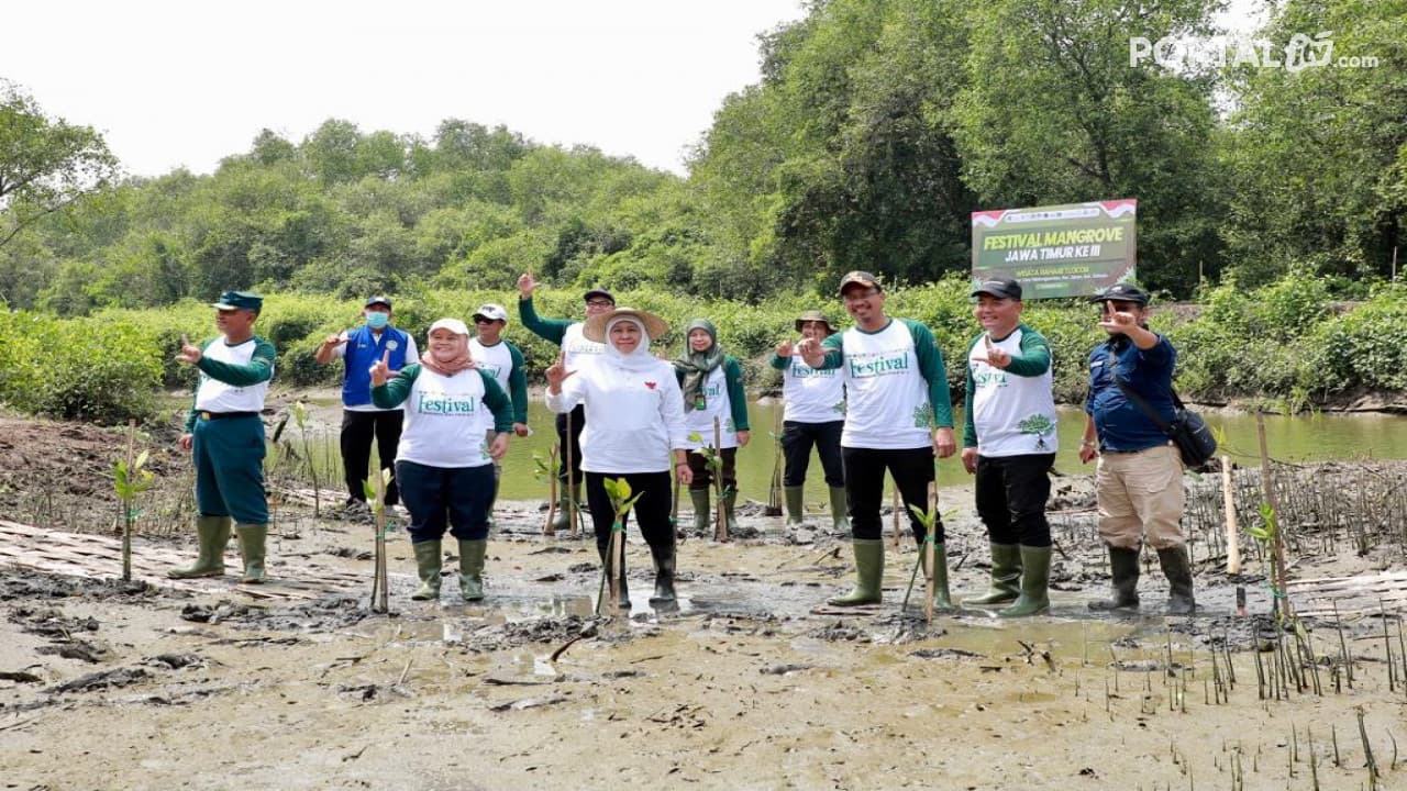 Shodaqoh Oksigen Festival Mangrove III di Pulau Lusi