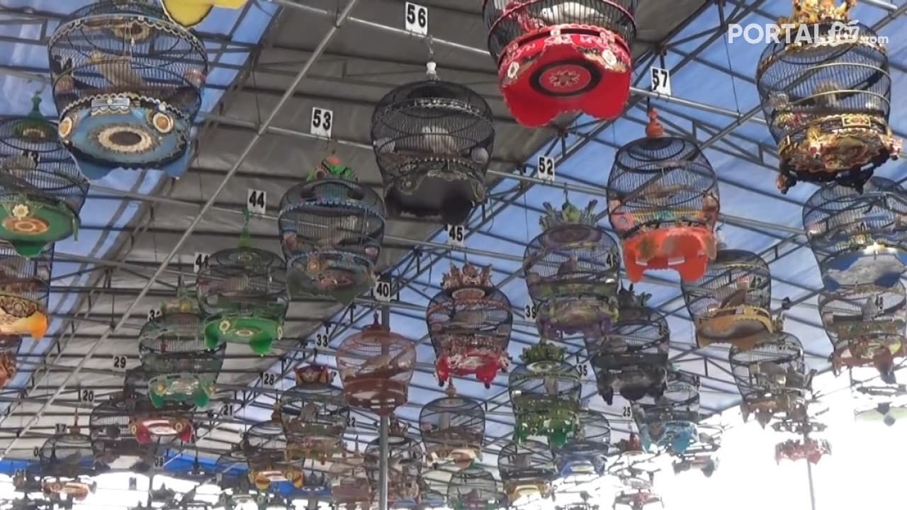 Lomba Burung Puter Pelung Tingkat Nasional