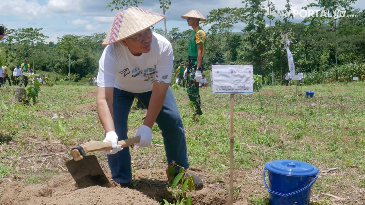 Wujudkan Net Zero Emission ,PTPN XI Lakukan Penanaman Pohon