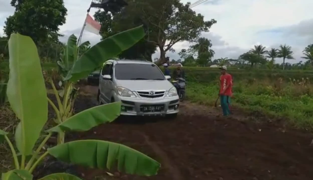 Lima Tahun Tak Ada Perbaikan, Warga Tanam Pohon Pisang di Badan Jalan