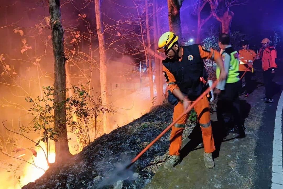 Hutan Jati di Arak-Arak Bondowoso Terbakar