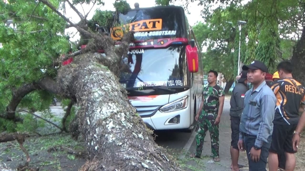 Pohon Tumbang Timpa Bus Eka di Jalur Magetan - Ngawi