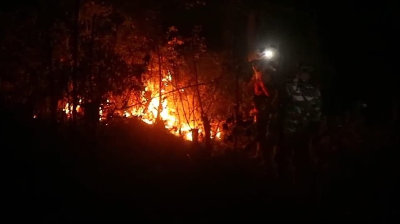 Diduga Dibakar Warga untuk Buka Lahan, Hutan Jati di Ponorogo Dilalap si Jago Merah