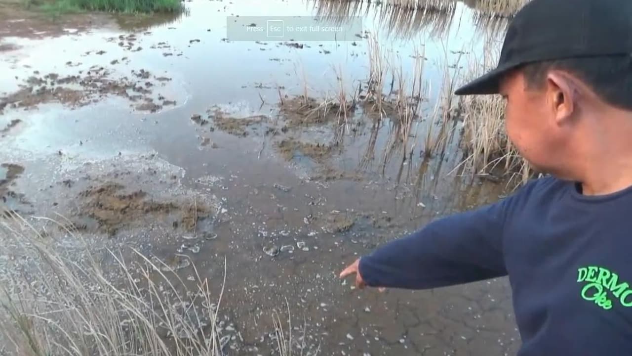 Limbah Pasir Silika Cemari Sungai dan Lahan Pertanian di Tuban