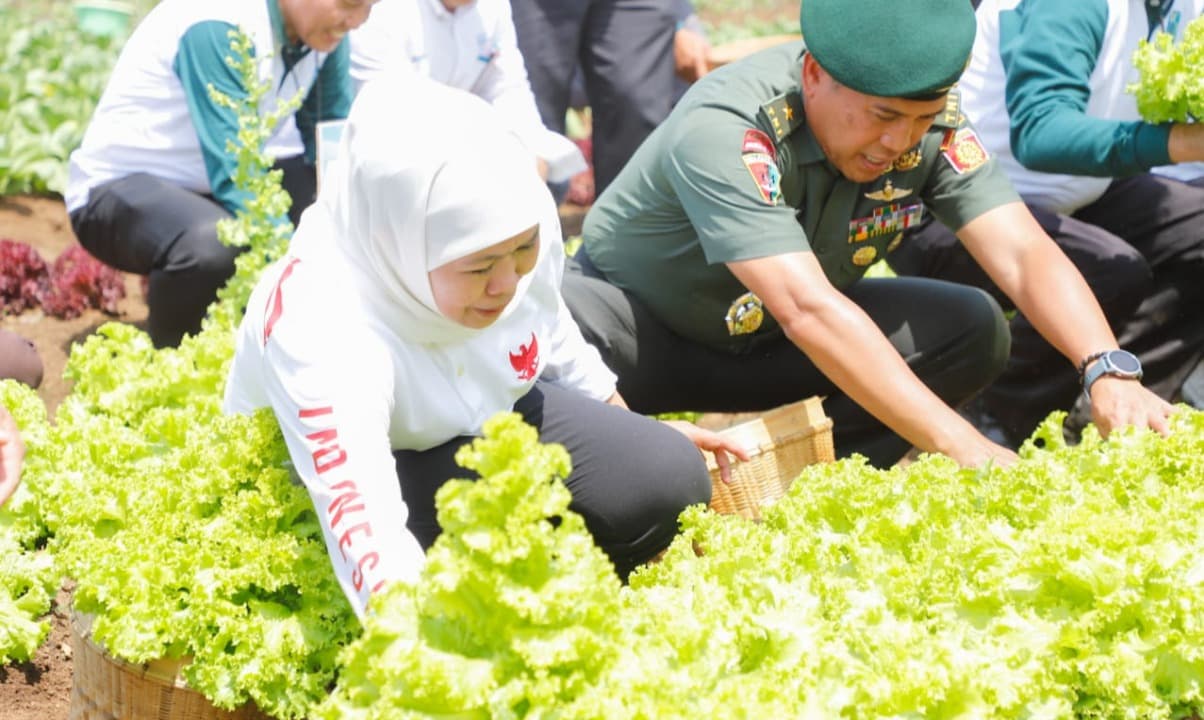 Dorong Peningkatan Ketahanan Pangan, Gubernur Khofifah dan Pangdivif 2 Kostrad Tanam 10 Ribu Pohon