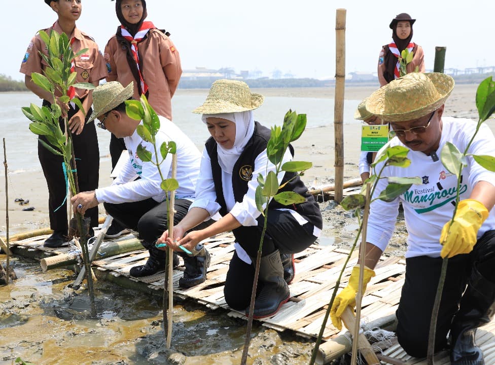 Wujudkan Net Zero Emission 2060, Gubernur Khofifah Gelar Festival Mangrove di Romokalisari Land