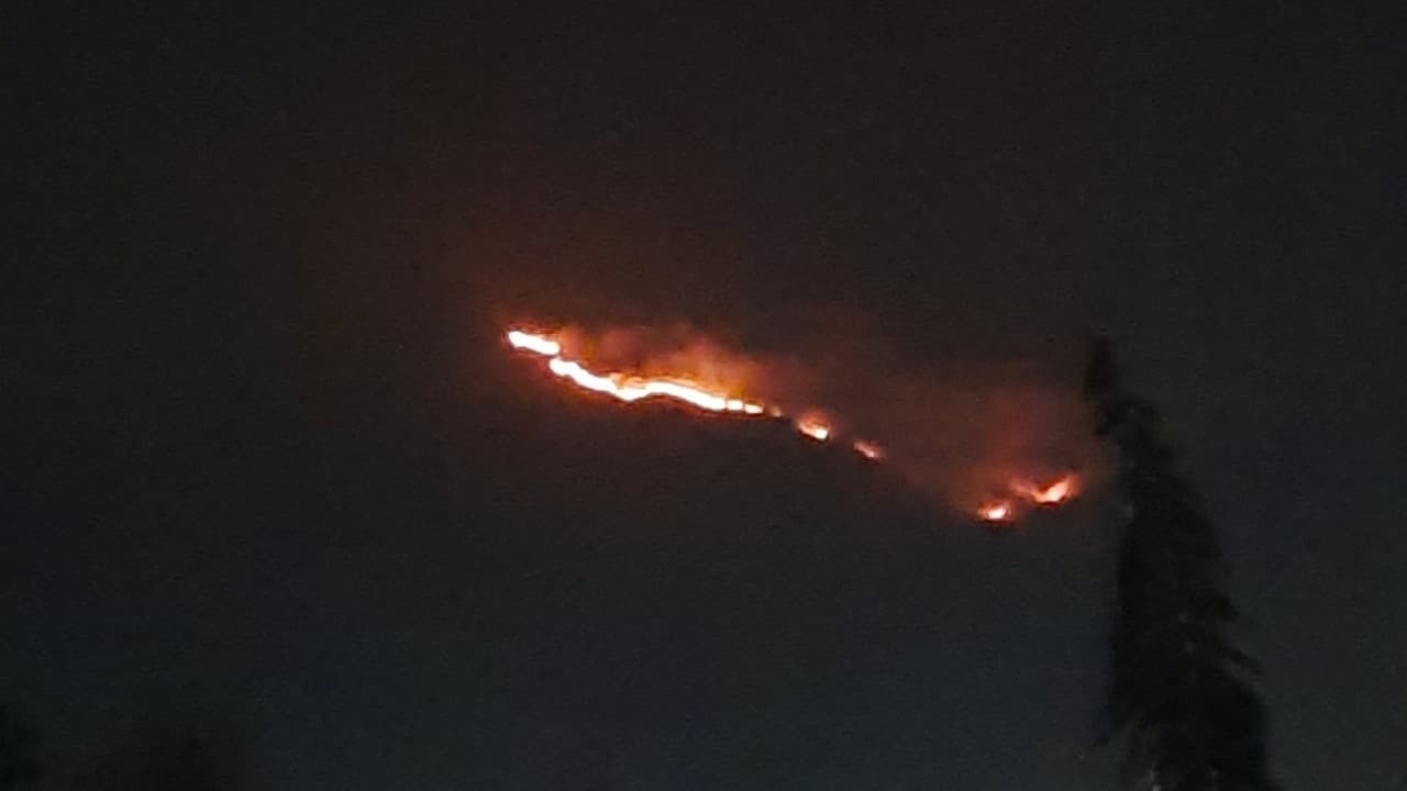 Kebakaran Terjadi di Gunung Penanggungan, Asap Masih Mengepul