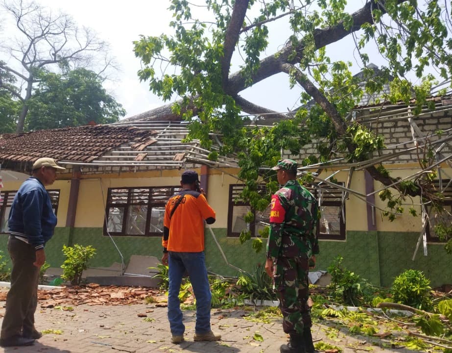 Pohon Berusia Seratus Tahun Tumbang Timpa Sekolah di Lamongan