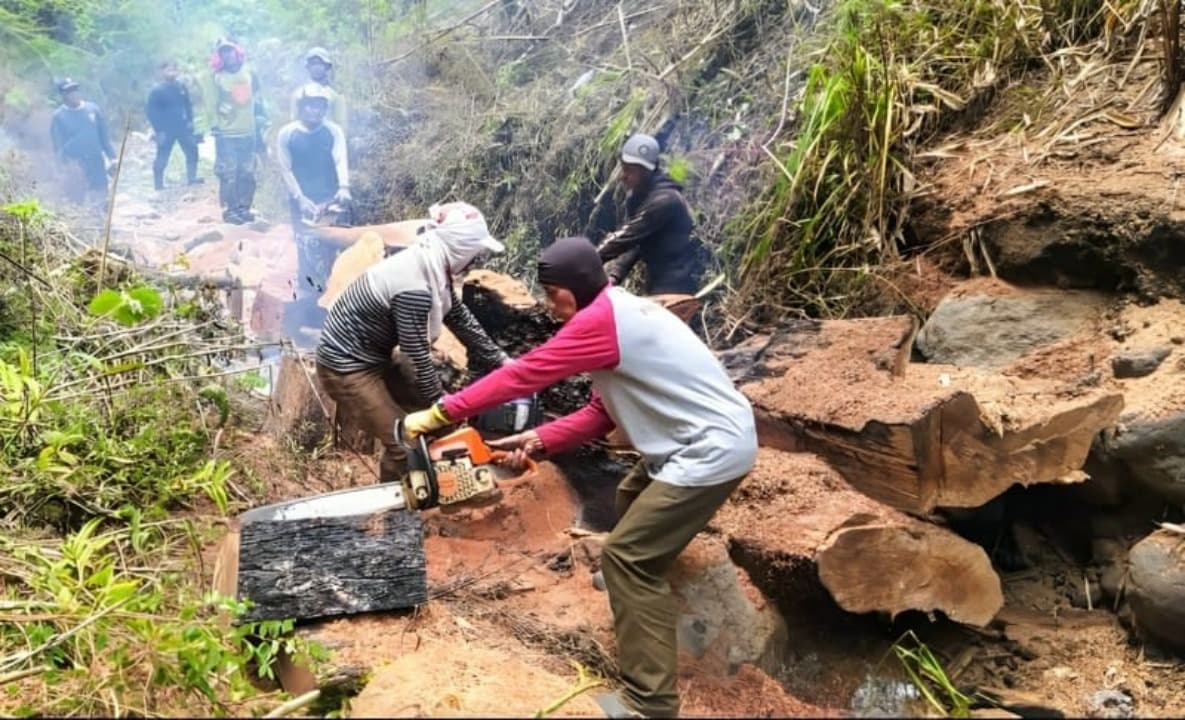 Antisipasi Banjir Bandang, Petugas Gabungan Bersihkan Material Kayu di Kawasan Pusung Lading