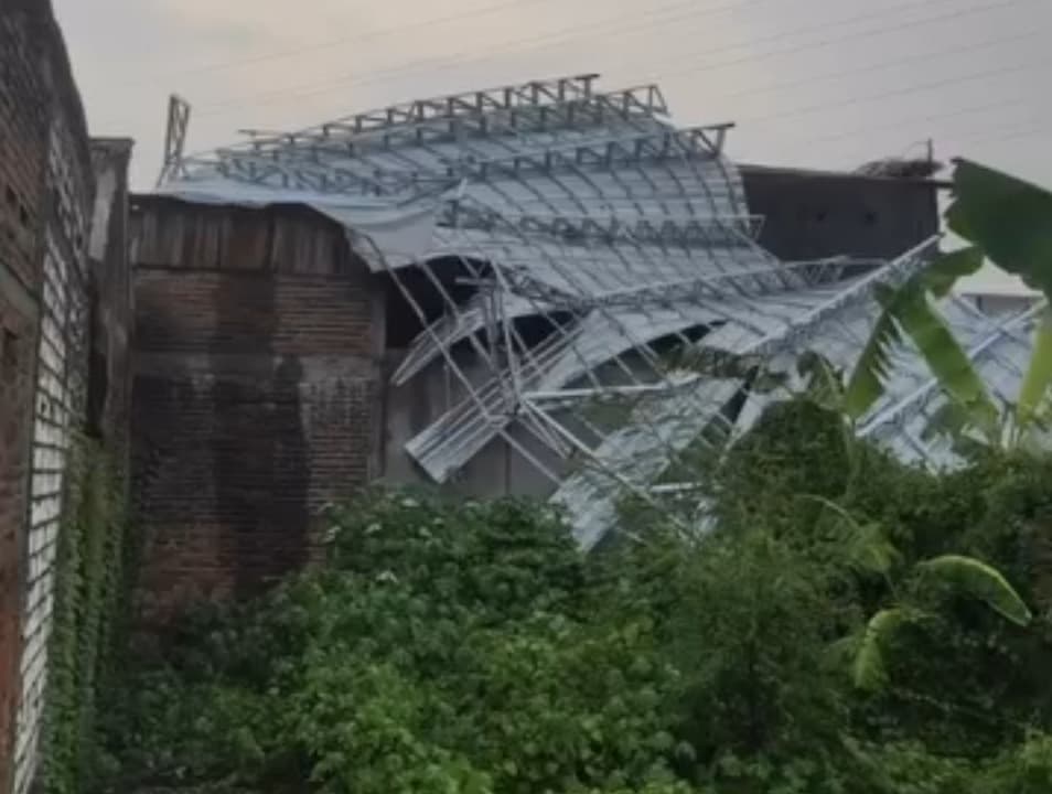 5 Pohon Tumbang dan 2 Rumah Ambruk Akibat Hujan Angin di Surabaya