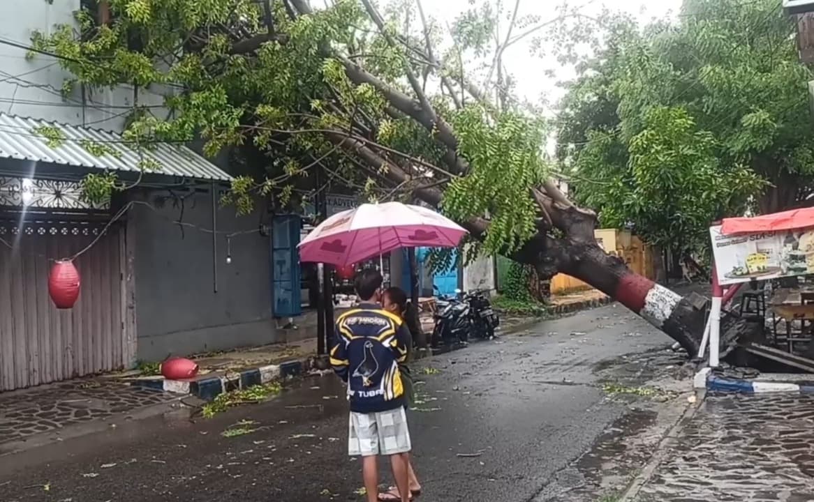 Hujan Deras Disertai Angin Robohkan Pohon, Tower dan Tiang Listrik di Madiun