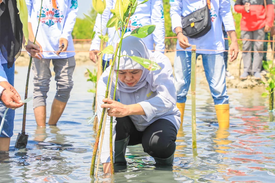 Festival Mangrove VI Kalianget Sumenep Dukung Net Zero Emission