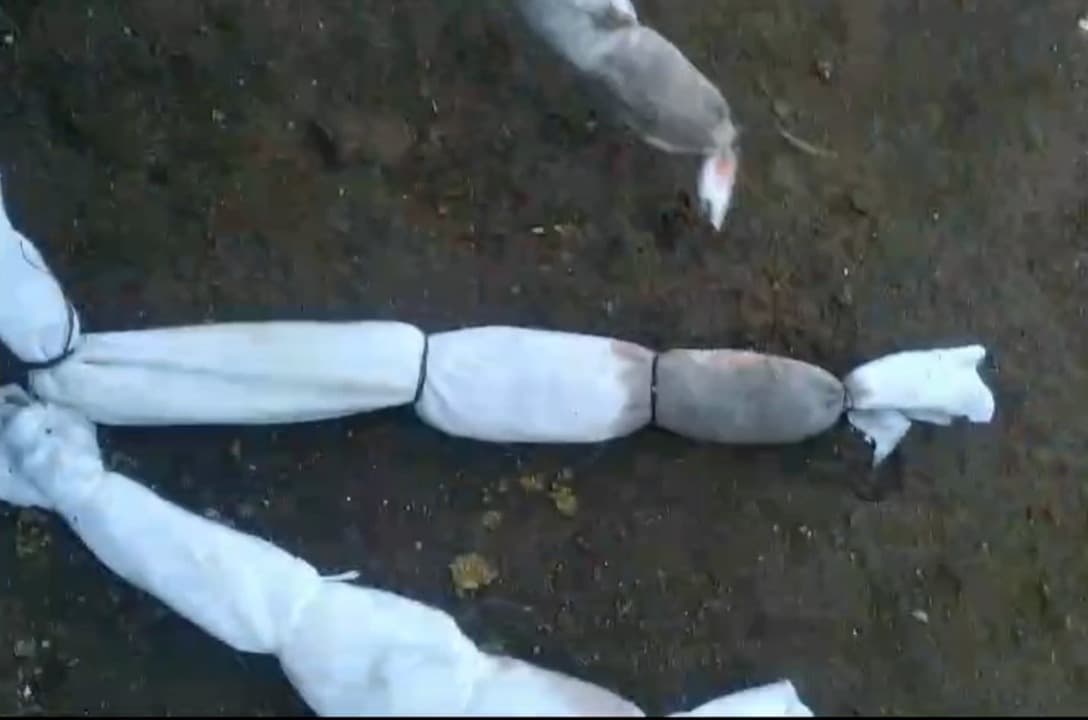 Rumah Warga di Desa Sruwi Pasuruan Diteror Pocong