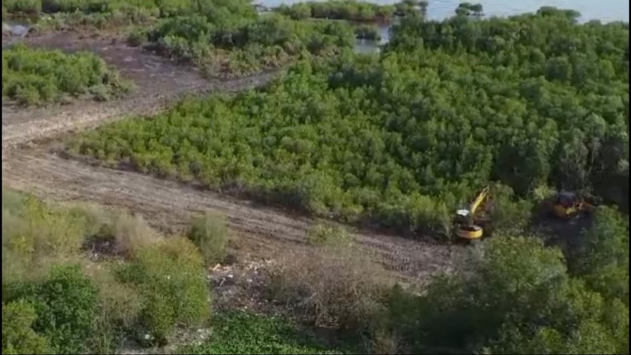 Polisi Tindak Lanjuti Laporan Perusak Hutan Mangrove Pamekasan