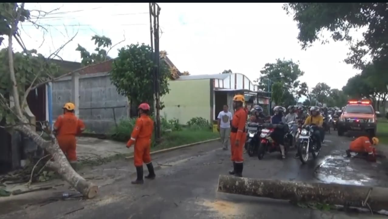 Pohon Tumbang Timpa Mobil Avanza di Ponorogo hingga Picu Kemacetan