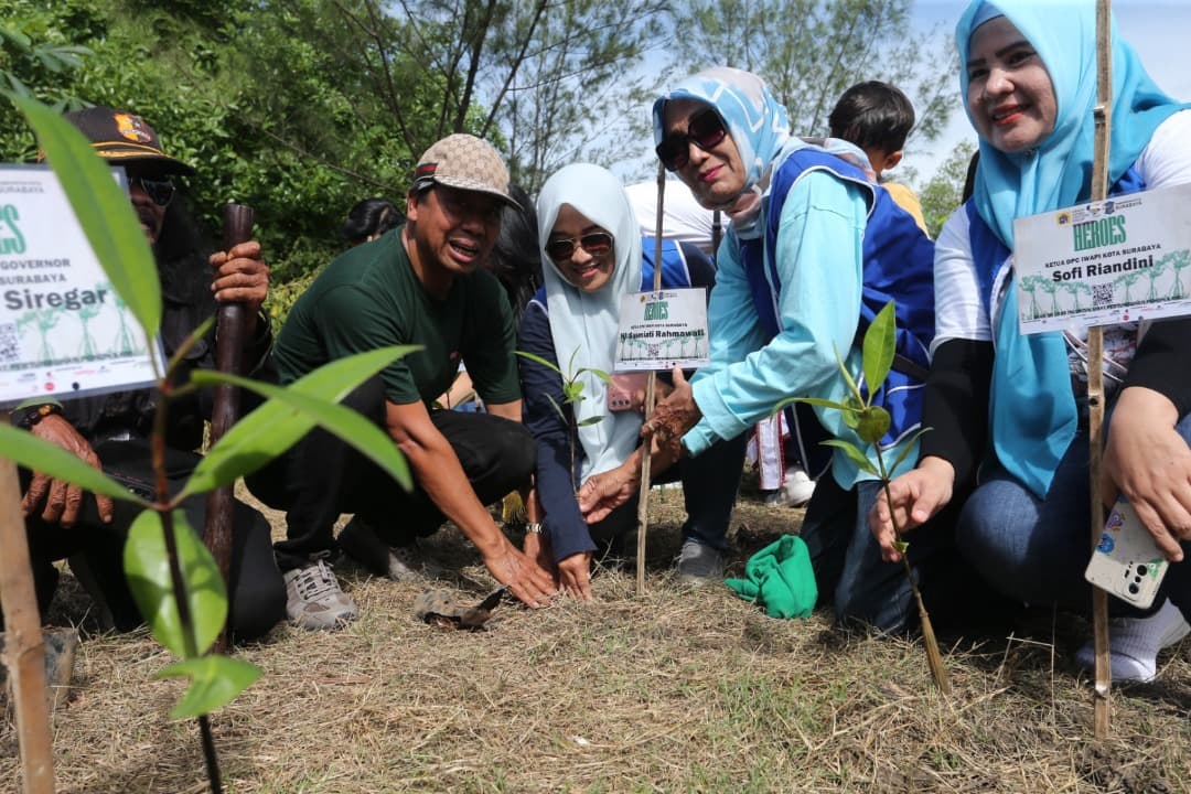 Peduli Kelestarian Lingkungan, Anak Muda Surabaya Tanam 1000 Pohon di Mangrove