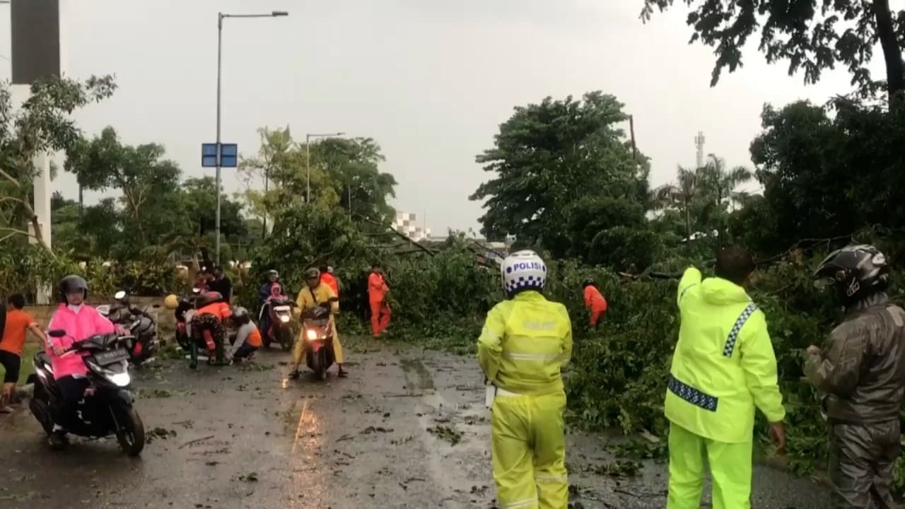 16 Pohon Tumbang dan 39 Rumah Rusak Akibat Hujan di Sidoarjo