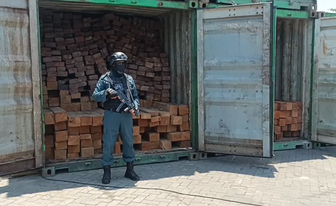 55 Kontainer Kayu Ilegal Gagal Diselundupkan