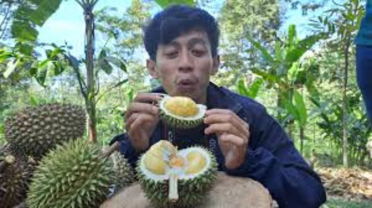 Gresik, Lumajang Sumenep Masuk Proyek Holtilkultura Nasional HDDAP Total Anggaran Rp. 1,7 Trilyun