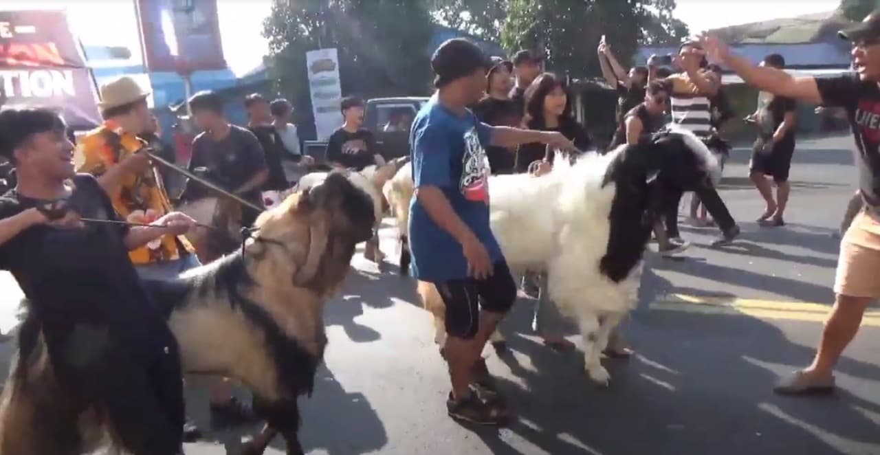 Warga Temenggungan Kota Malang Arak 46 Kambing Sebelum Disembelih