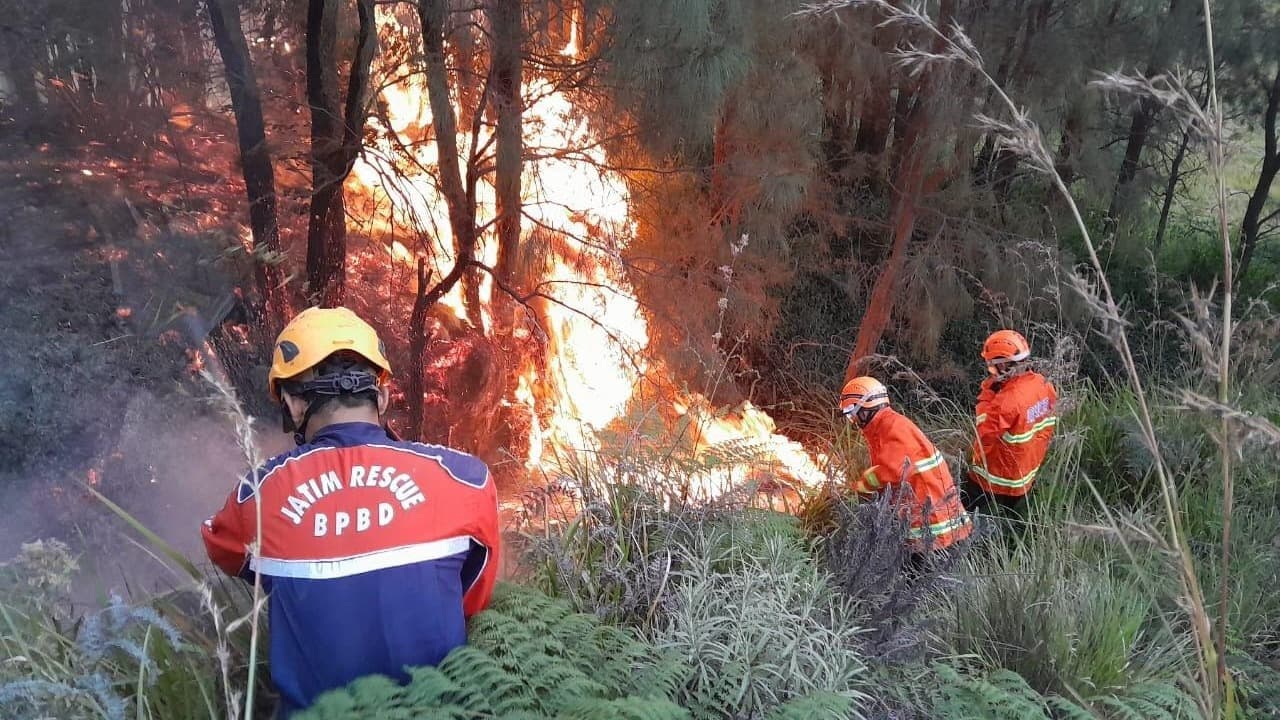 TRC BPBD Jatim Turut Berjibaku Padamkan Api di Kawasan Gunung Bromo