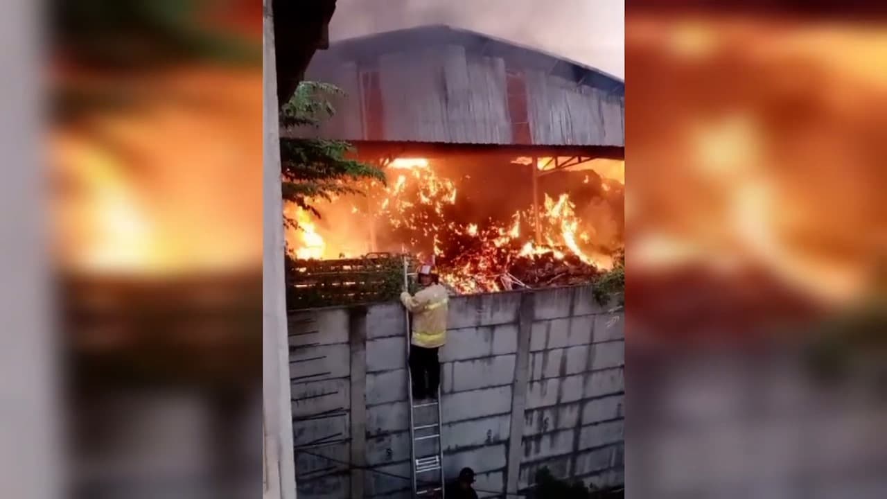 Gudang Pakan Ternak di Sidoarjo Terbakar, 3 Truk dan 1 Forklift Hangus