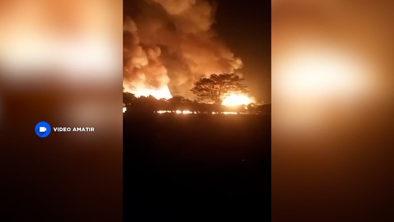 Kandang Ayam di Lamongan Terbakar, 8 Ribu Ayam Mati Terpanggang