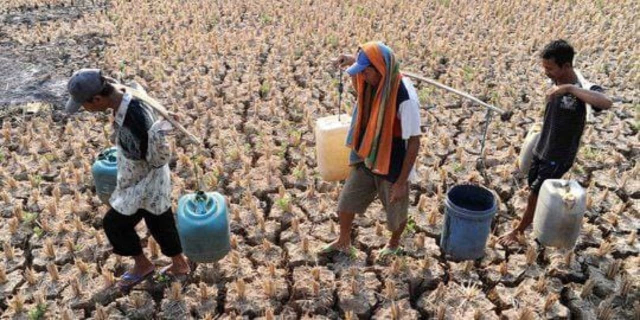 Siap-Siap, 34 Desa di Pacitan Terancam Kekeringan