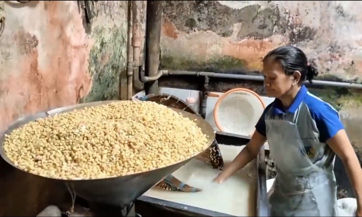 Suhu Dingin Bediding di Malang Membuat Kualitas Tempe Menurun