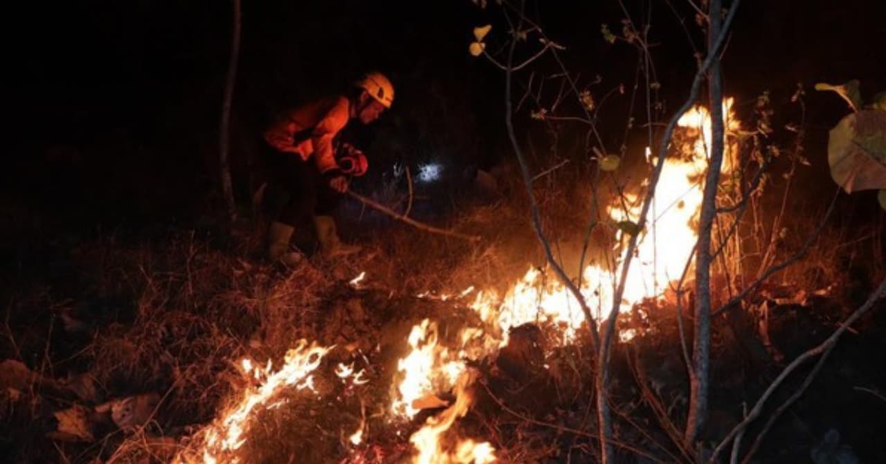 Hutan Gunung Gombak di Ponorogo Terbakar, Ancam Pemukiman Warga