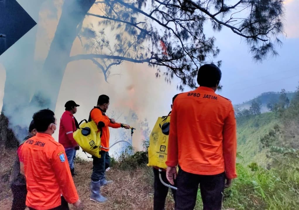 Gerak Cepat Tim BPBD Jatim Padamkan Api di Hutan Penanjakan Gunung Bromo