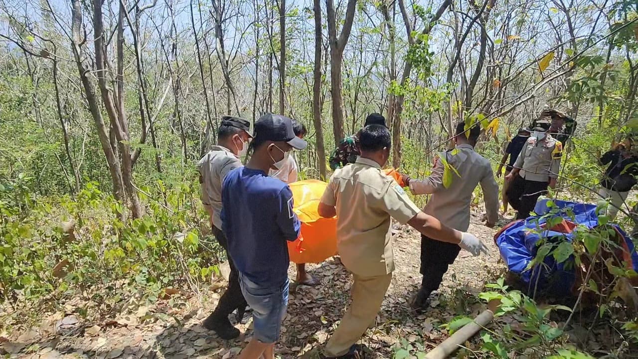 Hilang 13 Hari, Lansia 77 Tahun Ditemukan Meninggal Di Hutan