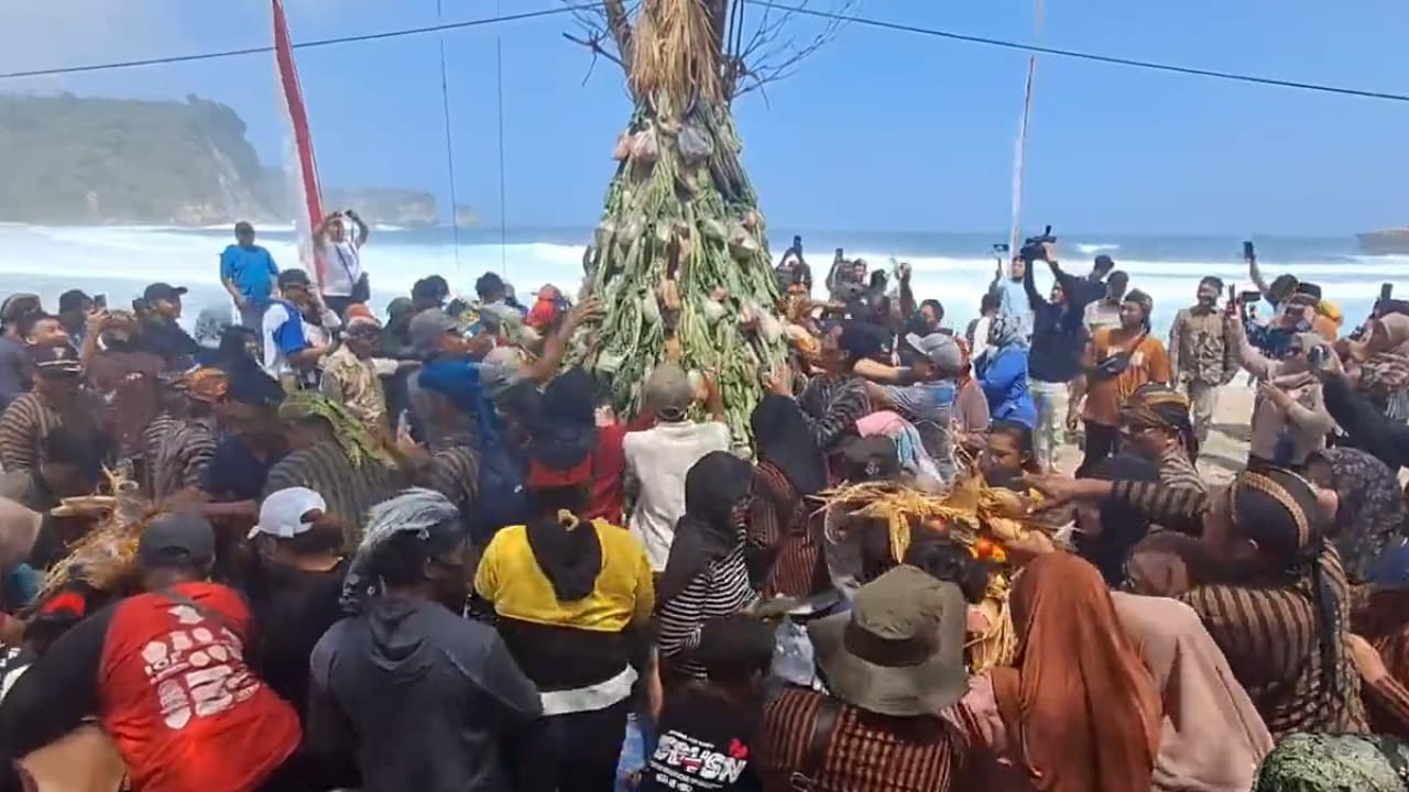 Grebeg Tumpeng dan Pelepasan Tukik: Tradisi Syukur dan Konservasi di Pantai Sanggar