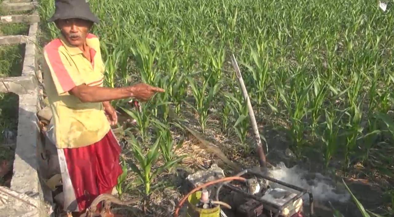 Harga Pertalite Mahal dan Langka, Petani Lamongan Beralih ke LPG untuk Mengairi Sawah