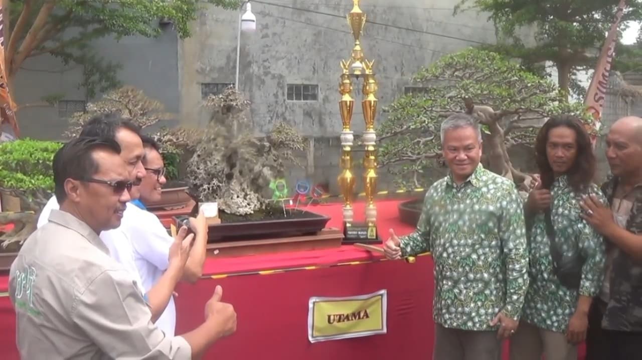 Ratusan Bonsai Unik Ramaikan Pameran Nasional di Tulungagung, Gerakkan Ekonomi Lokal