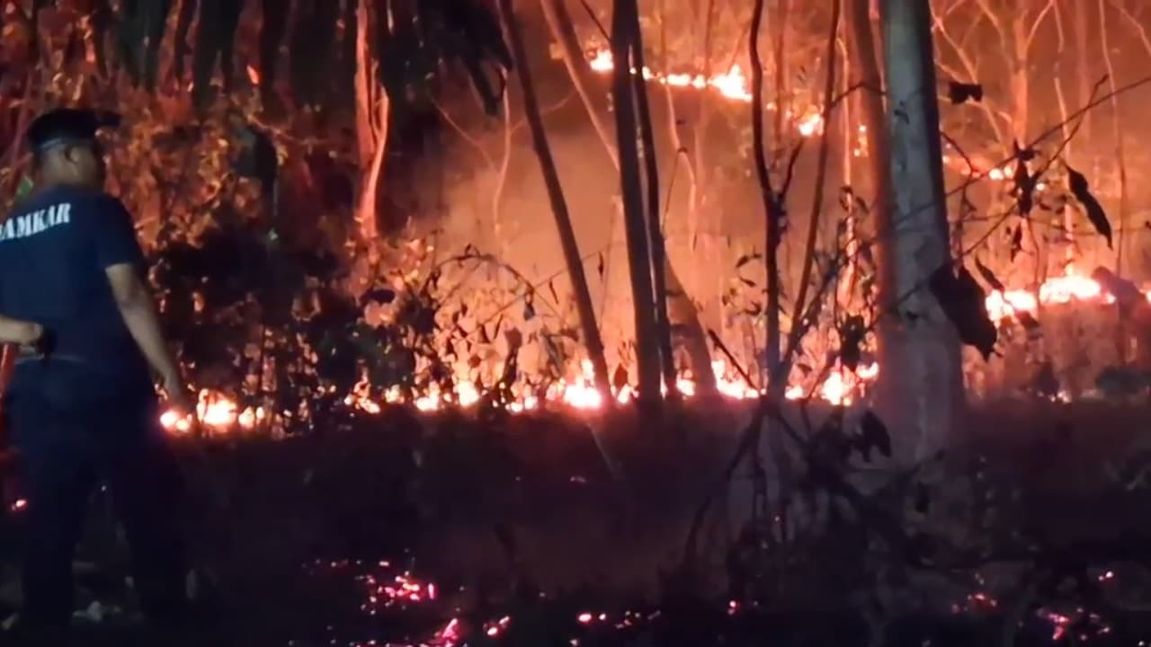 Kebakaran Hutan di Tulungagung Hampir Rambah Permukiman Warga