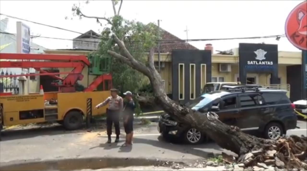 Pohon Berusia Puluhan Tahun Tumbang di Ponorogo, Timpa Mobil dan Kantor Polisi