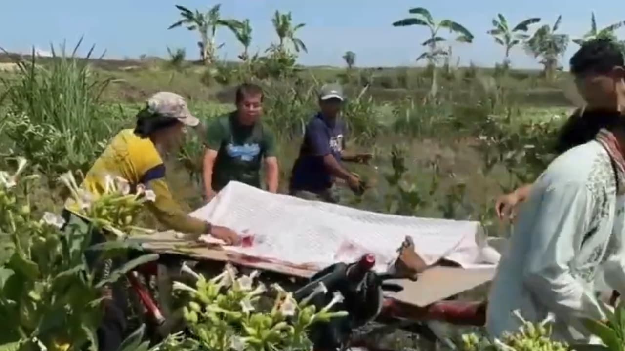 Nahas! Seorang Petani di Bojonegoro Tewas Akibat Sabit Miliknya Sendiri