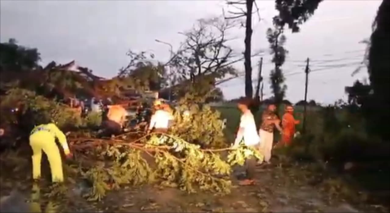 Hujan Deras Disertai Angin Kencang di Madiun Tumbangkan Pohon dan Rusak Rumah Warga