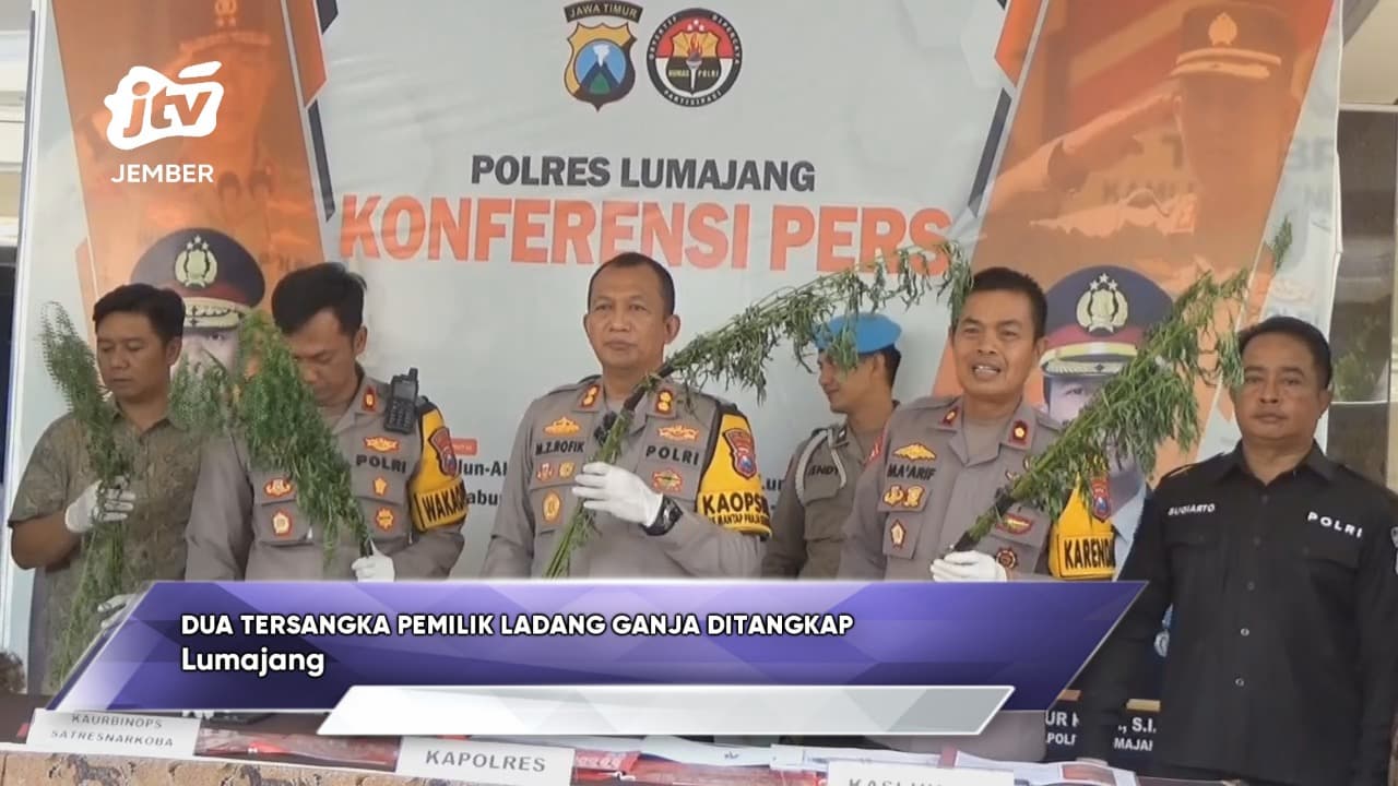 Dua tersangka pemilik ladang ganja ditangkap