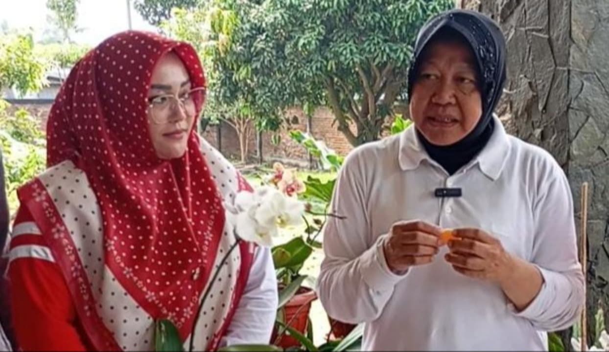 Bertemu Petani Jeruk di Malang, Ini Janji Cagub Risma