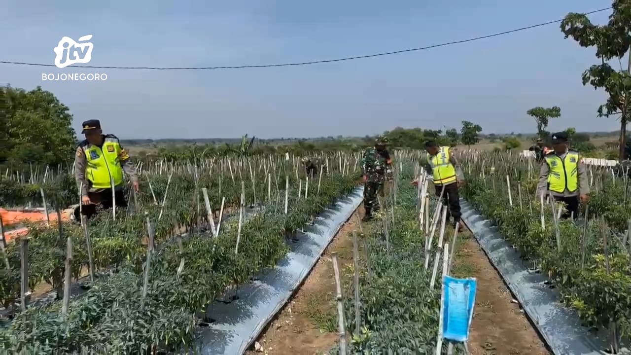 Polsek Kedungadem Bojonegoro Tanam Bibit Jagung Bersama Warga