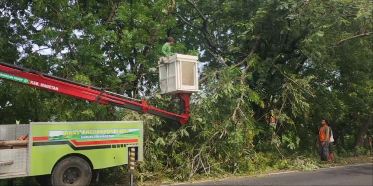 Antisipasi Pohon Tumbang, DLH Magetan Pangkas Ranting di Jalur Ngawi-Magetan