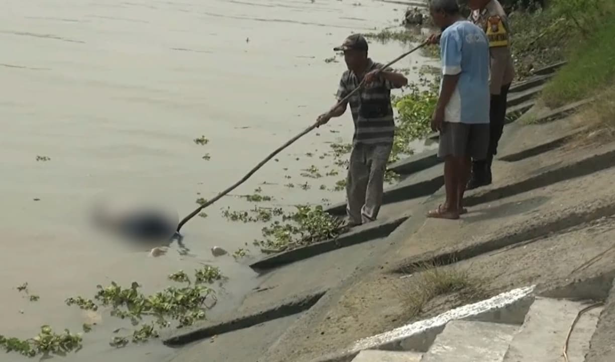 Mayat Tanpa Identitas Ditemukan Mengambang di Sungai Bengawan Solo Tuban