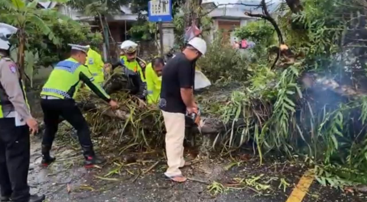 Dua Pengendara Motor Tertimpa Pohon Tumbang di Jalan Nasional KM 10 Trenggalek-Ponorogo