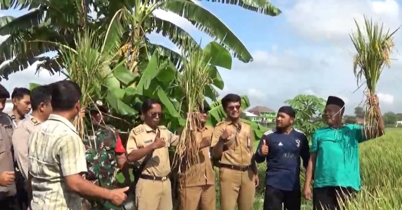 Tradisi Methil Padi di Ponorogo, Wujud Syukur Petani Menyambut Musim Panen