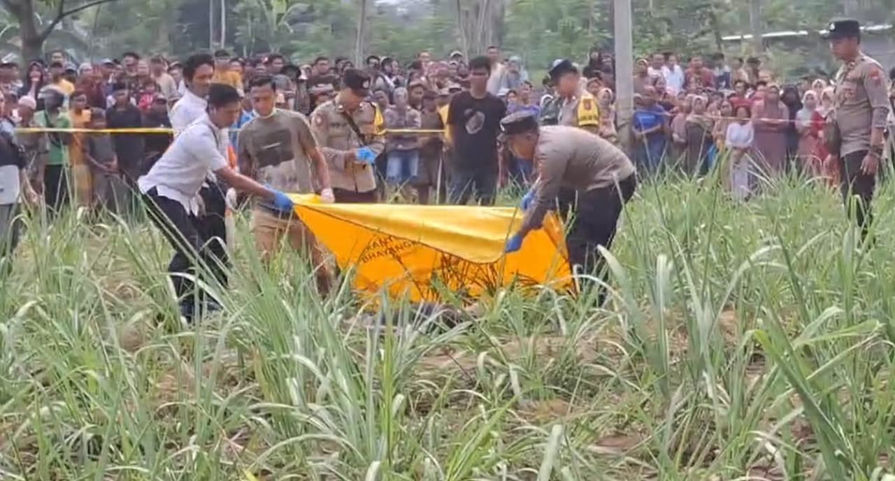 Mayat Pria Ditemukan Bersimbah Darah dengan Luka Bacok di Ladang Tebu