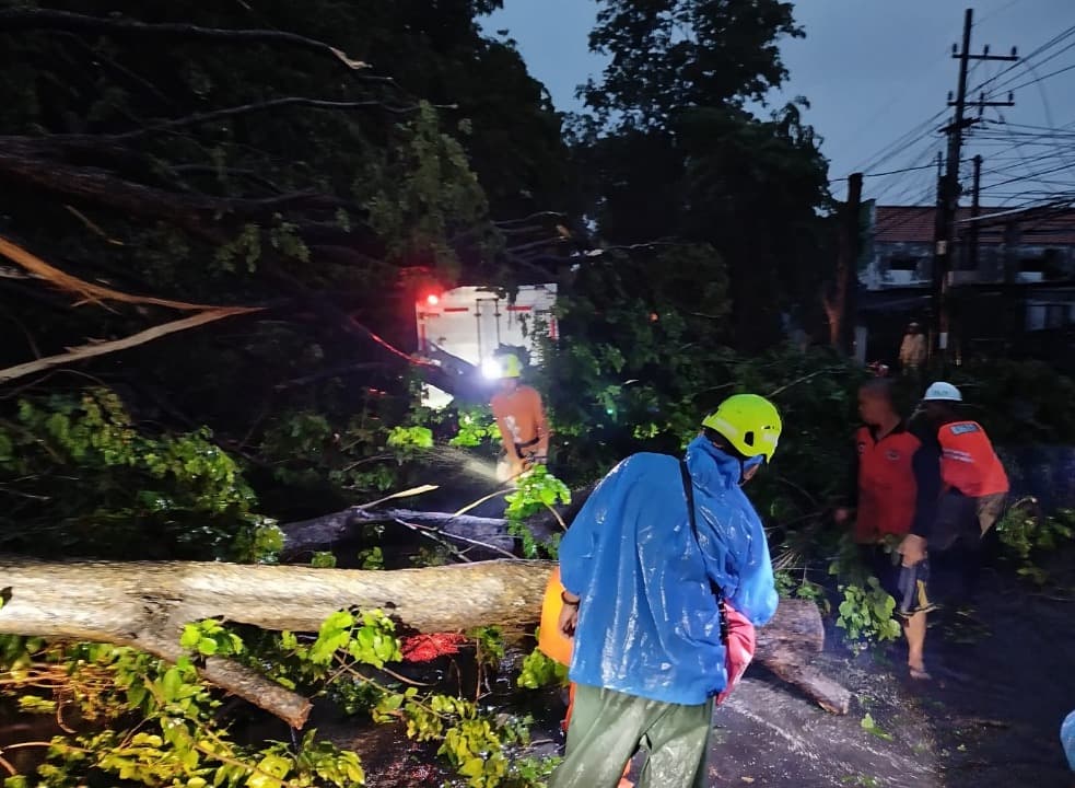 Hujan Disertai Angin Kencang Tumbangkan 4 Pohon di Mojokerto