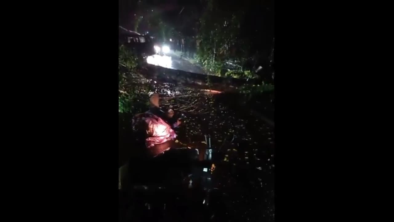 Pohon Tumbang Timpa Pengendara Motor di Trenggalek, Korban Alami Luka Kepala